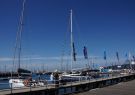2015-festival-of-sails-DSC07666