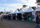 2014Celtic-DSC03216