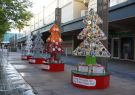 GeelongTree-DSC06456