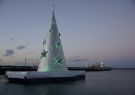 Geelong Floating Christmas Tree