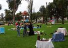 FIGMENT art installation Geelong