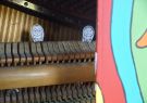 FIGMENT art installation Geelong