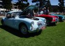 MG Classic Car Show Geelong