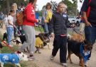 2014RSPCA-02