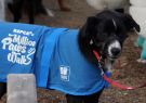 2014RSPCA43