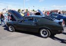 Mustang-DSC02462