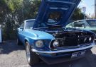 Mustang-DSC02463