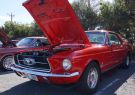 Mustang-DSC02464