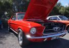 Mustang-DSC02465