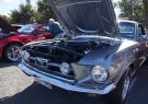 Mustang-DSC02467