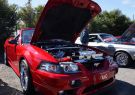 Mustang-DSC02469