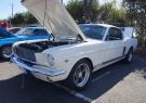 Mustang-DSC02470