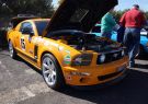 Mustang-DSC02472