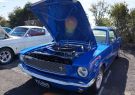 Mustang-DSC02473