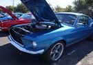 Mustang-DSC02477