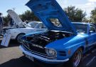 Mustang-DSC02478