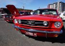 Mustang-DSC02480