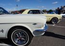 Mustang-DSC02481