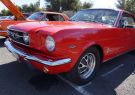 Mustang-DSC02482