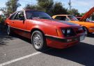 Mustang-DSC02483