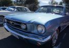 Mustang-DSC02484