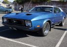 Mustang-DSC02487