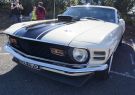 Mustang-DSC02489