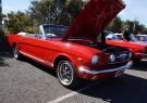 Mustang-DSC02490