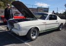 Mustang-DSC02491