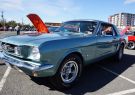 Mustang-DSC02493