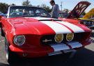 Mustang-DSC02494