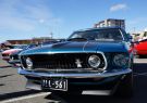 Mustang-DSC02495