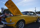 Mustang-DSC02496