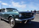 Mustang-DSC02497