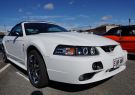 Mustang-DSC02498