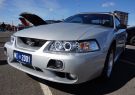 Mustang-DSC02499