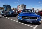 Mustang-DSC02502