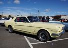 Mustang-DSC02503