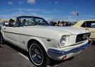 Mustang-DSC02504