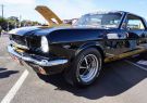 Mustang-DSC02505