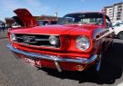 Mustang-DSC02506