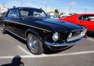 Mustang-DSC02510