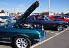 Mustang-DSC02511