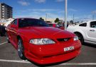 Mustang-DSC02512