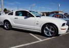 Mustang-DSC02513