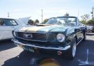 Mustang-DSC02514