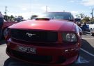 Mustang-DSC02515