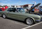 Mustang-DSC02516