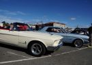 Mustang-DSC02518