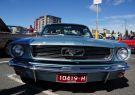 Mustang-DSC02519